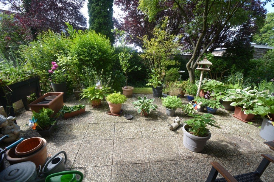Terrasse Erdgeschosswohnung Hamburg / Rahlstedt