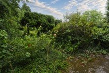 Blick in den Garten Gro�z�giges Zweifamilienhaus mit Garten, Garage und vielseitigem Entwicklungspotenzial